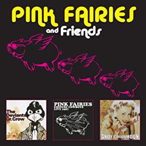 Pink Fairies: Pink Fairies And Friends, 3 CDs