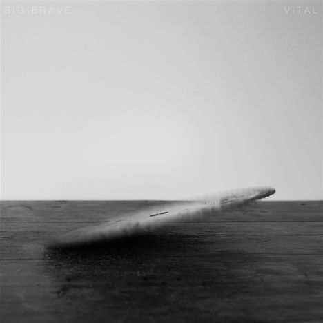 Big Brave: Vital, LP