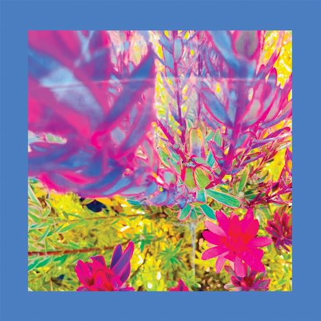 Reds: THE PAST IS A GARDEN I NEVER FED (Sky Blue Vinyl), LP