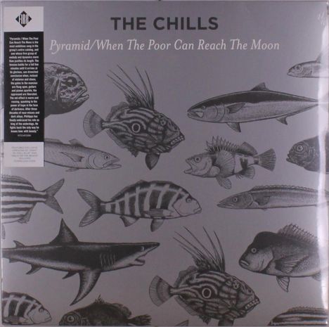 The Chills: Pyramid / When The Poor Can Reach The Moon, Single 12"