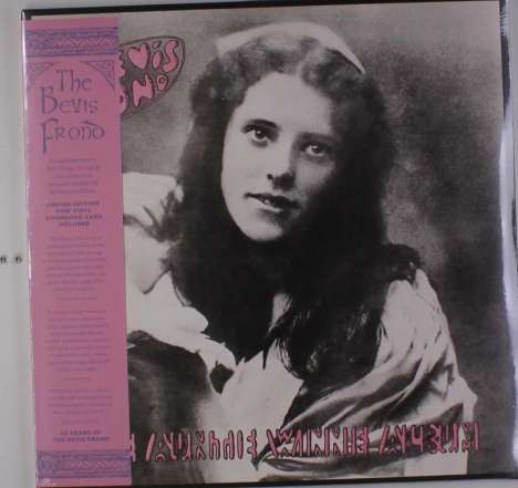 The Bevis Frond: The Auntie Winnie Album (Limited-Edition) (Pink Vinyl), 2 LPs