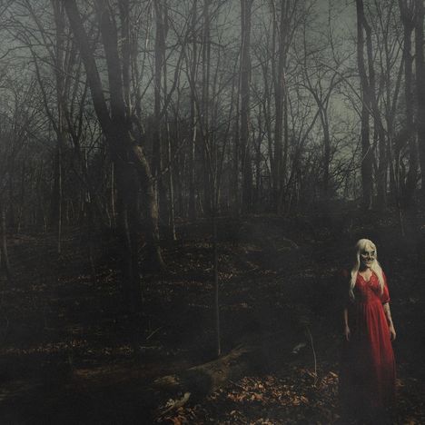 Leider kann ich den Text im Bild nicht erkennen. Es zeigt eine Person in einem roten Kleid, stehend in einem düsteren Wald.