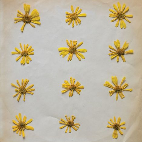 The Molochs: Flowers In The Spring, MC