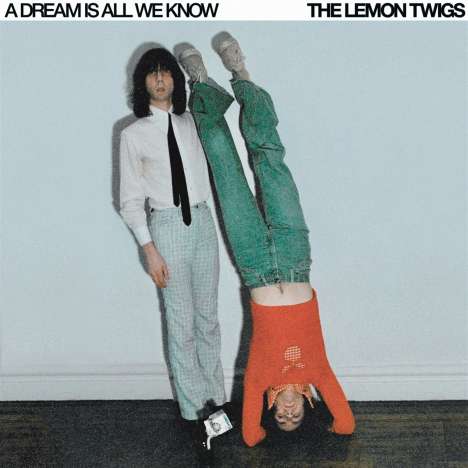 The Lemon Twigs: A Dream is All We Know, CD