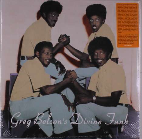 Soul / Funk / Rhythm And Blues: Greg Belson's Divine Funk: Rare American Gospel Funk &amp; Soul, LP