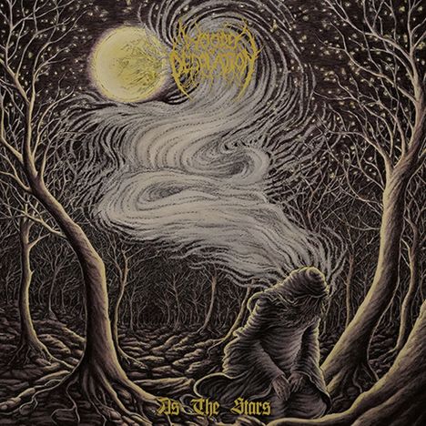 Woods Of Desolation: As The Stars (Limited Edition) (Crystal Clear &amp; Silver Marbled Vinyl), LP