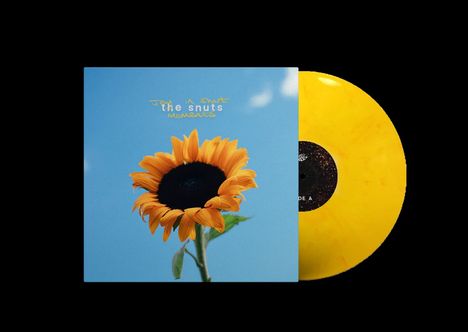 "the snuts" und "moments" stehen auf einem Cover mit einer großen Sonnenblume auf blauem Hintergrund. Eine gelbe Schallplatte.