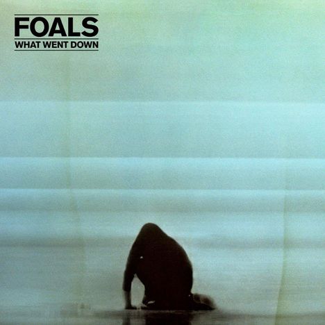 Foals: What Went Down (Deluxe-Edition), 1 CD und 1 DVD