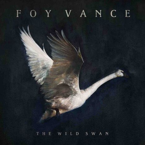 Vance Joy: The Wild Swan, CD