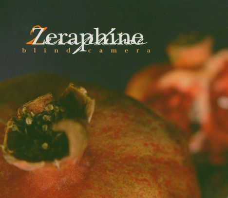 Zeraphine: Blind Camera (CD + DVD), 1 CD und 1 DVD