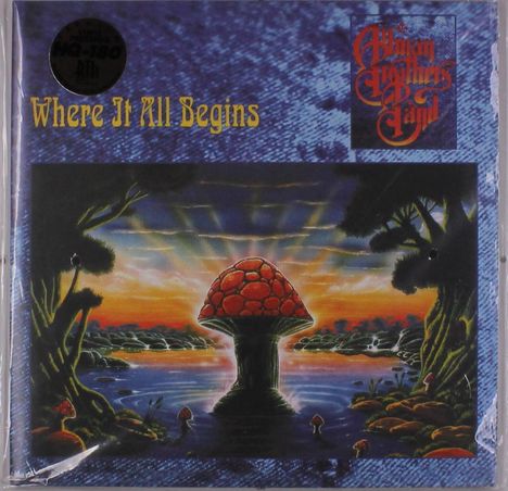 The Allman Brothers Band: Where It All Begins (180g), 2 LPs