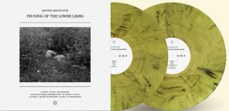 "Moving Mountains: Pruning of the Lower Limbs". Schwarz-weißes Foto von Landschaft, zwei gelblich marmorierte Schallplatten.