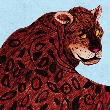 Illustration eines Leoparden mit braun-schwarzem Fellmuster und leuchtenden Augen auf hellblauem Hintergrund.