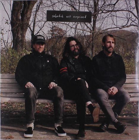 Sebadoh: Act Surprised, LP