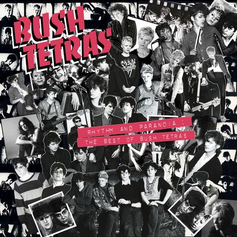 Bush Tetras: Rhythm And Paranoia: The Best Of Bush Tetras (remastered) (180g), 3 LPs