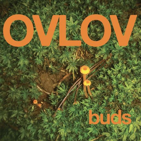 Ovlov: Buds (Orange Vinyl) (Indie Exclusive), LP