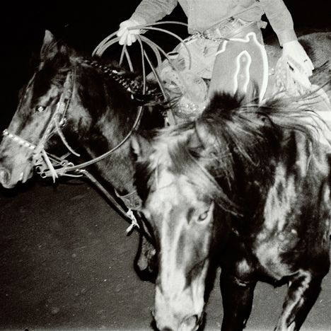 Zwei Pferde in Bewegung bei Nacht, ein Reiter hält Zügel und Lasso. Kontrastreiches Schwarz-Weiß, dynamische Szene.