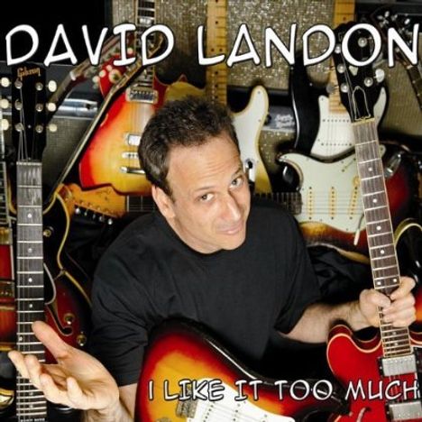 David Landon: I Like It Too Much, CD