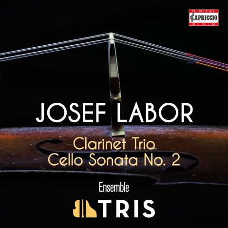 Josef Labor (1842-1924): Klarinettentrio e-moll, CD