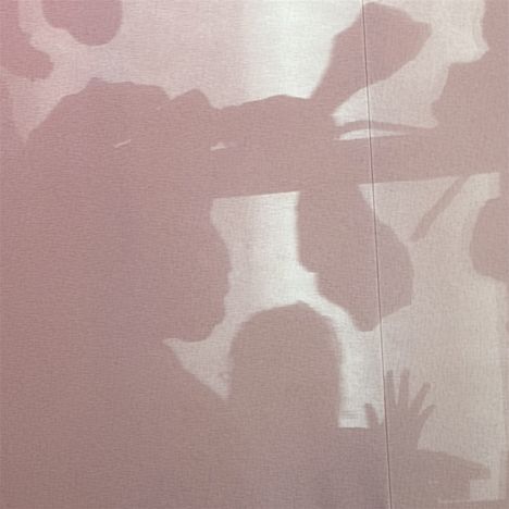 Schatten von Pflanzen und Menschen auf einer rosafarbenen Wand. Eine Hand hebt sich im Vordergrund ab.