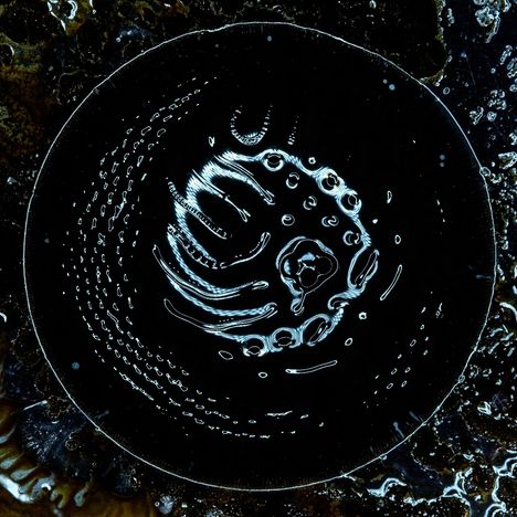 Eine leuchtende Spirale und Muster auf dunklem Hintergrund, wie eine abstrakte Illustration.