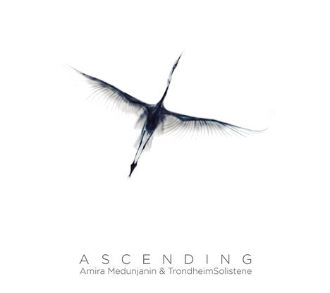 Amira Medunjanin: Ascending, CD