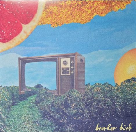 Text: "brother bird". Eine Collage mit altem Fernseher, Obst und Landschaft.