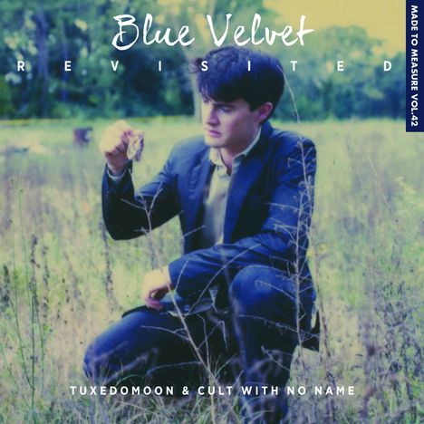 Filmmusik: Blue Velvet Revisited (Made To Measure Vol.42), CD