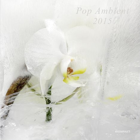 Pop Ambient 2015, CD