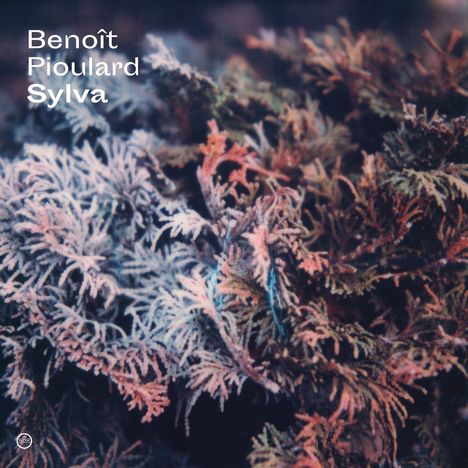 Benoît Pioulard: Sylva, CD