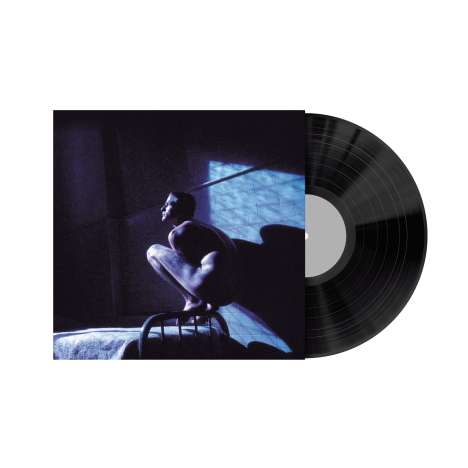 Peter Gabriel (geb. 1950): Filmmusik: Birdy (Reissue) (remastered) (180g), LP