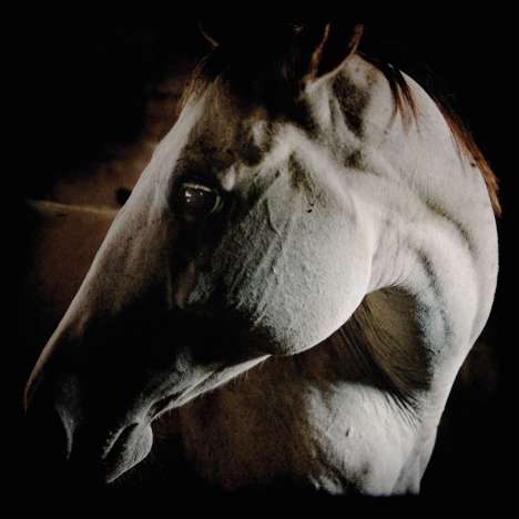 Brother Dege (AKA Dege Legg): How To Kill A Horse (White Vinyl), LP