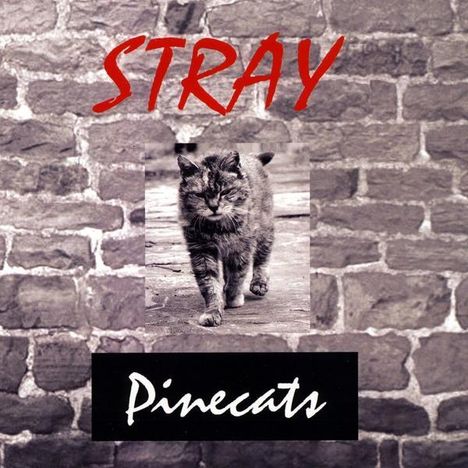 Pinecats: Stray, CD