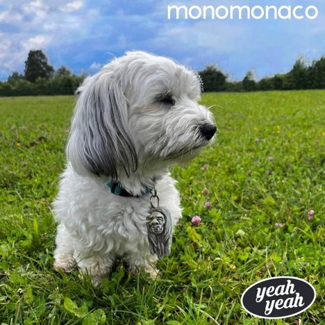 Monomonaco: Yeah Yeah, Single 12"