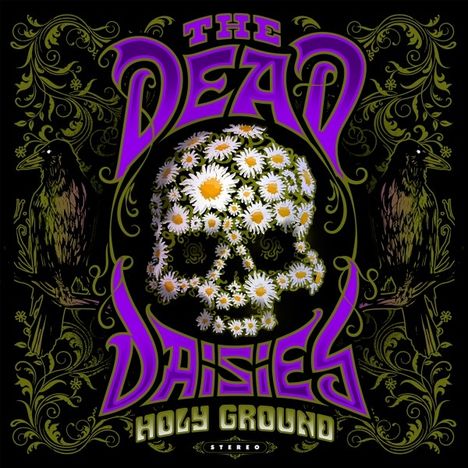 The Dead Daisies: Holy Ground (180g) (Transparent Violet Vinyl) (45 RPM), 2 LPs