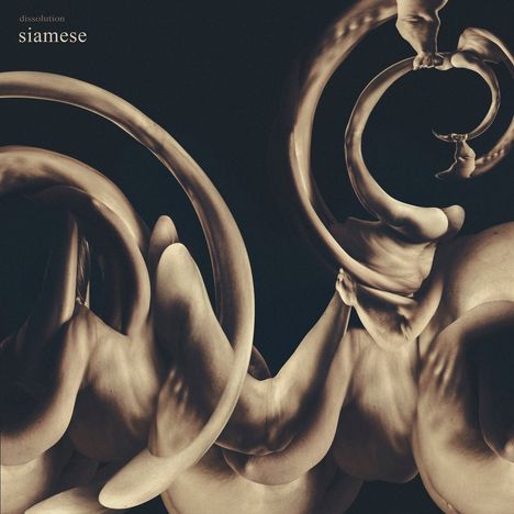 Text: "dissolution siamese". Abstrakte Formen, die ineinander übergehen, in gedeckten Beige- und Brauntönen.