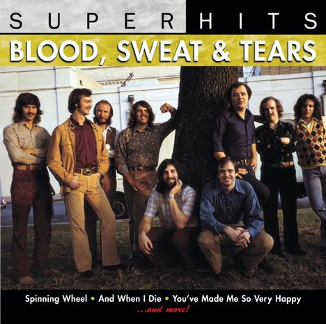 Blood, Sweat &amp; Tears: Super Hits, CD