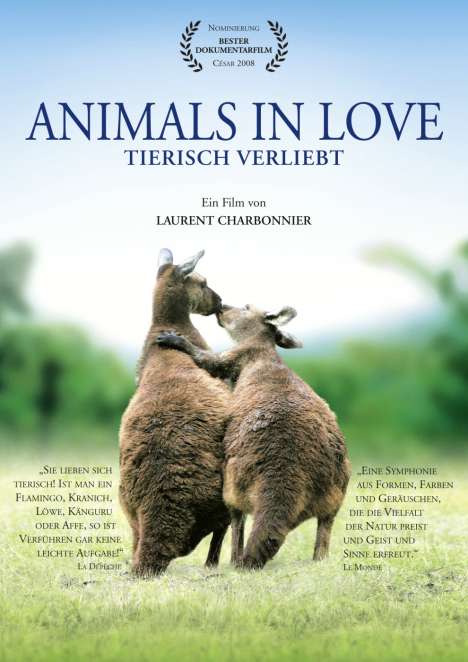 Animals In Love, DVD