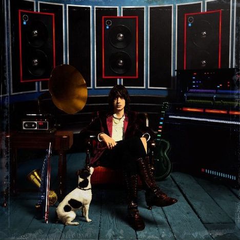 Julian Casablancas: Phrazes For The Young, LP