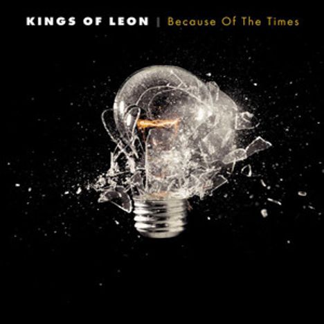 Kings Of Leon: Because Of The Times (180g), 2 LPs