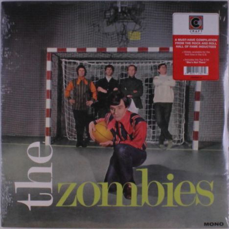 „the zombies“ in weiß und grün. Gruppe posiert in Sporthallentor, Person vorne mit gelbem Ball.