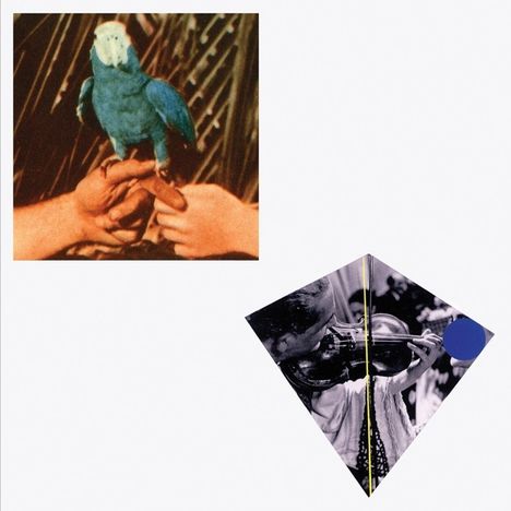 Andrew Bird: Are You Serious (Deluxe Edition), 2 CDs