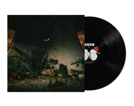 "The Plot in You" auf schwarzem Vinyl, Schmetterlingsbild. Dunkle, mystische Landschaft mit Pflanzen und Wasser.