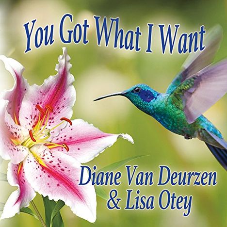 Diane Van Deurzen: You Got What I Want, CD