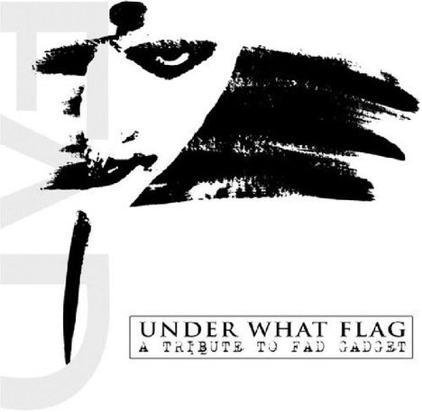 Under What Flag-A Tribute To Fad Gadget, CD