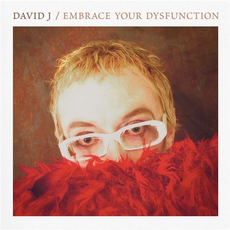 David J: Embrace Your Dysfunction, CD