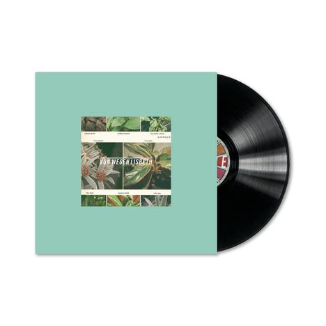 Schrift: „VON WEGEN LISBETH“. Verschiedene Pflanzenbilder. Schwarze Vinyl-Schallplatte auf mintgrünem Hintergrund.