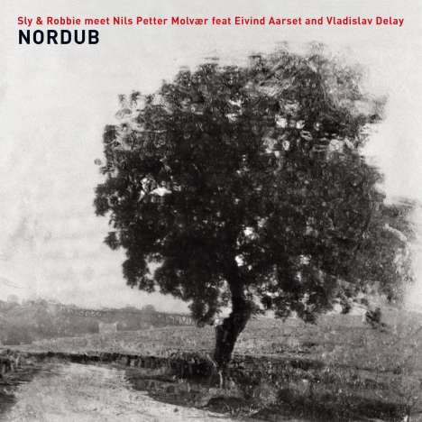 Sly &amp; Robbie, Nils Petter Molvaer, Eivind Aarset &amp; Vladislav Delay: Nordub, CD