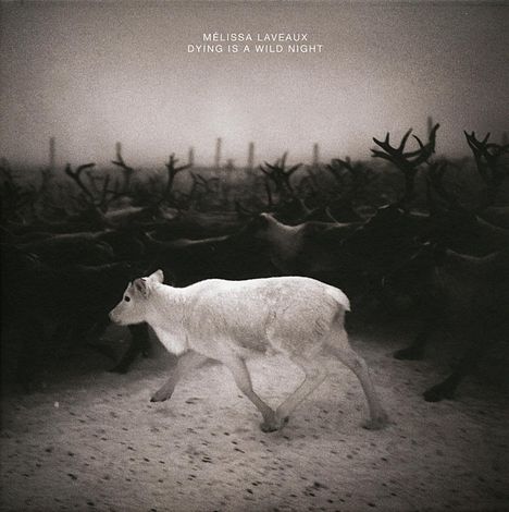 Mélissa Laveaux: Dying Is A Wild Night, CD