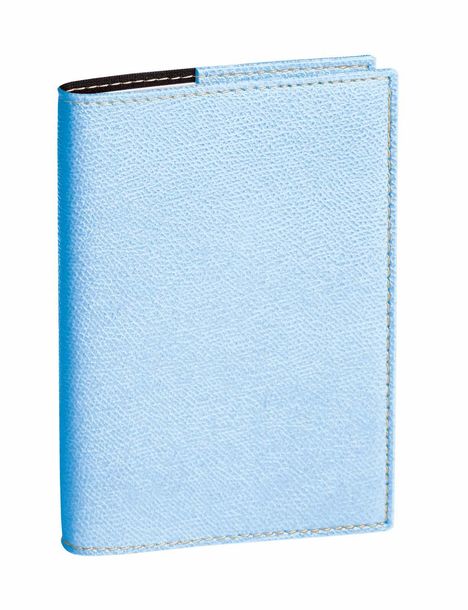 Geschäftbus Vz Club Himmelblau 2025, Buch